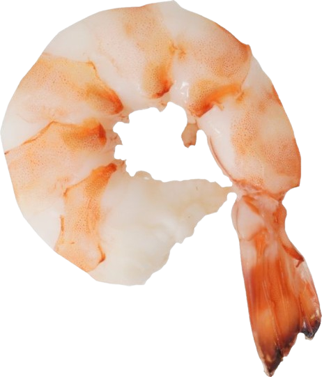 Shrimp